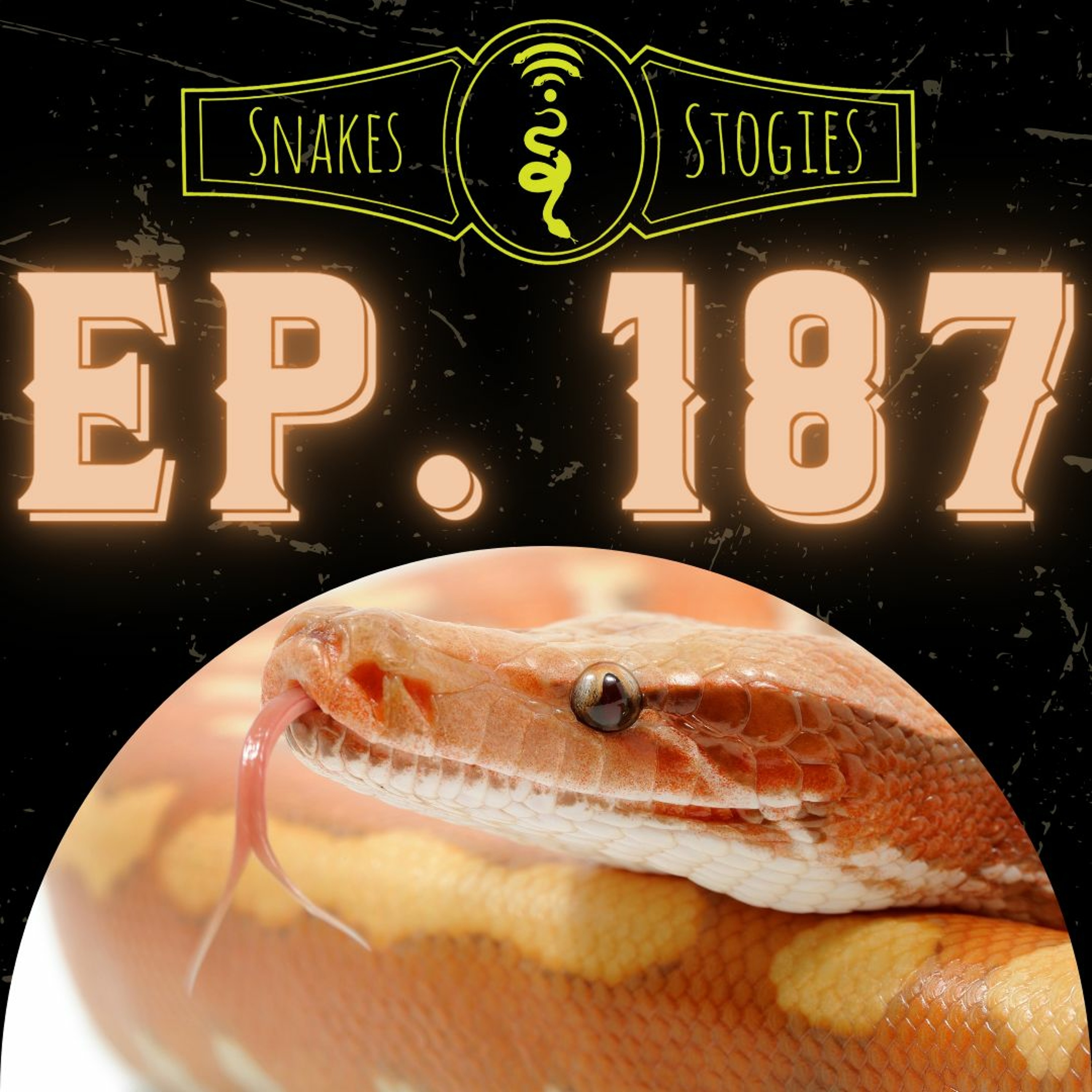 Shawn Perry of Sound Serpents | Snakes & Stogies Ep. 187