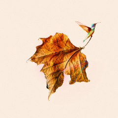 Francis Moon & Sine Wave Square - I let the poems have you