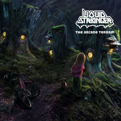 Liquid Stranger - Zero Gravity