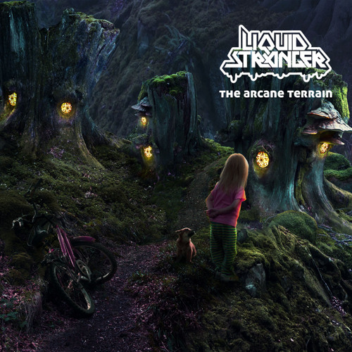 Liquid Stranger - Zero Gravity