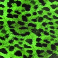 casamigos pack [5 betas] reggaeton, bad bunny, j balvin, latin