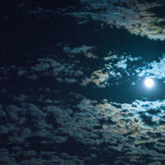 MOONLIGHT