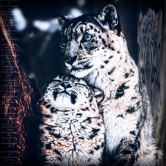 twin (tatethecreator)