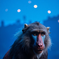 Rafiki - lionKing (Airon Remix)  (Free Download)