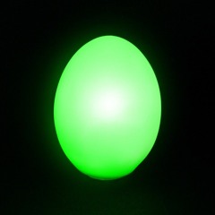 INCUBATION 1