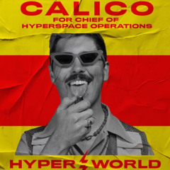 Calico @ HYPER ⚡️ WORLD (November 16, 2024)