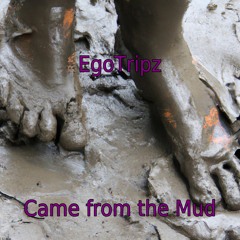 Came from the Mud