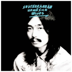 Tilki - Subterranean Homesick Blues 310102025