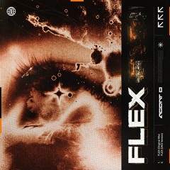 AGENT O - FLEX (UKG Version)
