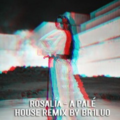 Rosalía - A Palé (house remix by Br1Lu0)