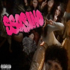 southside prod. disectyrhart
