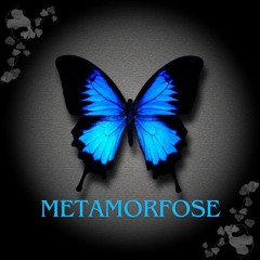 Set Metamorfose