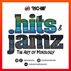 Hits And Jamz "The Art of Mixology"