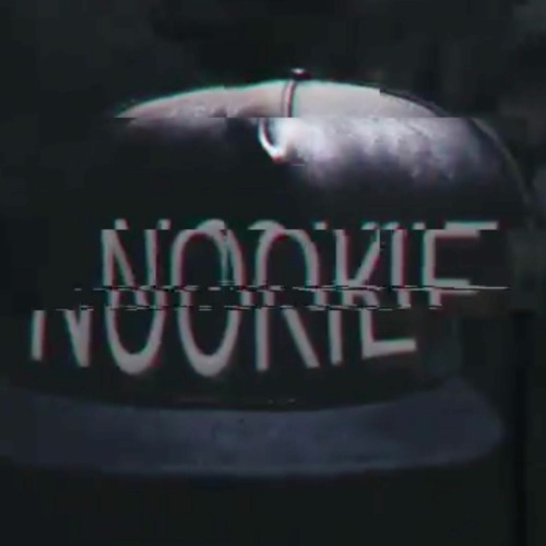 Nookie - Limp Bizkit (The Robin Remix)