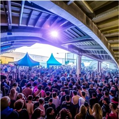 Bass Set 07 2023
