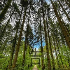 Tree Of Thoughts | Mix 13