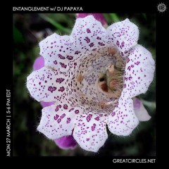 Entanglement w/ DJ Papaya - 28Mar2023