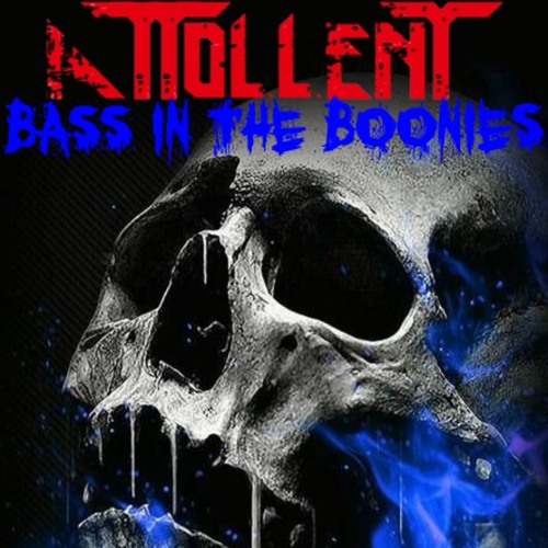 Bass in the Boonies 22 Closing Set Mix