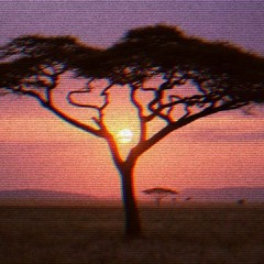 80s NATURE DOCUMENTARY