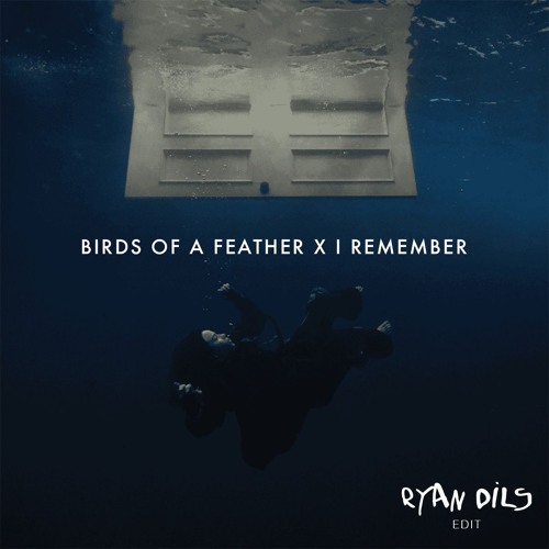 BIRDS OF A FEATHER x I Remember (Ryan Dils Edit) FREE DOWNLOAD