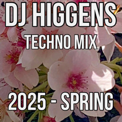 DJ Higgens - Techno Mix Spring 2025
