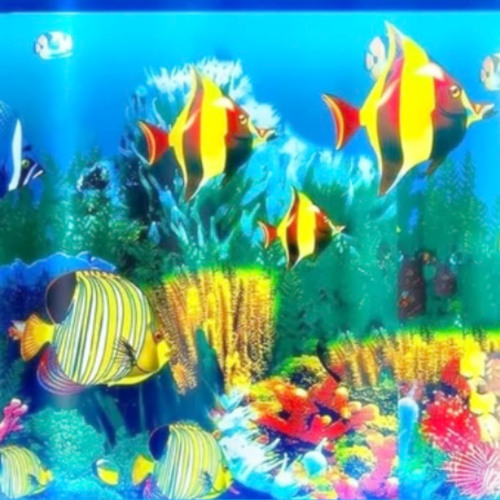 trappin in undies ft. teelo