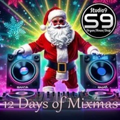 9th Day of Christmas