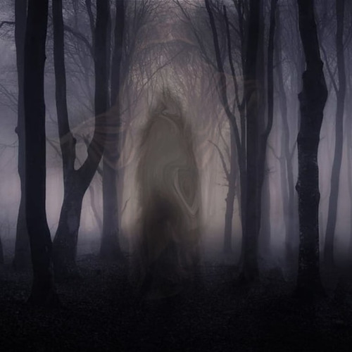 Shadow Walker