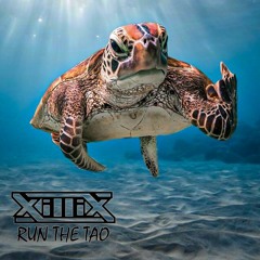 RUN THE TAO (MASHUP / EDIT By DJ XILLIX)