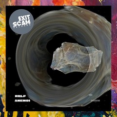 PREMIERE: RDLF — Anemoi (Original Mix) [Exit-Scam-Records]