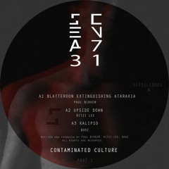 "Contaminated Culture" feat. Paul Birken, Ritzi Lee, Booz, Yari Greco & Karah, Aeit, Jassass (VINYL)