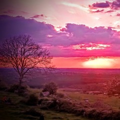 Once Bitten (Original Live Mix)