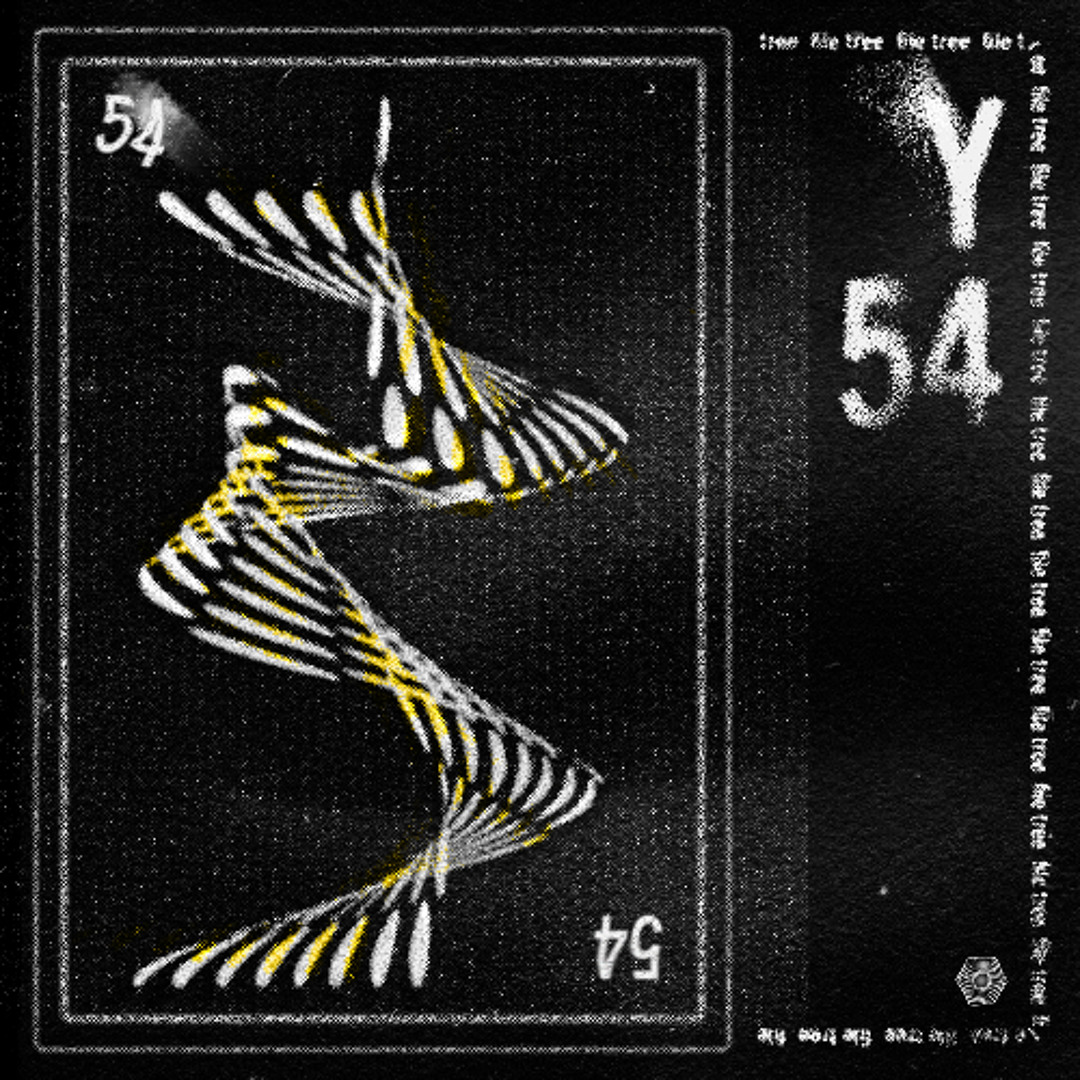 Y54
