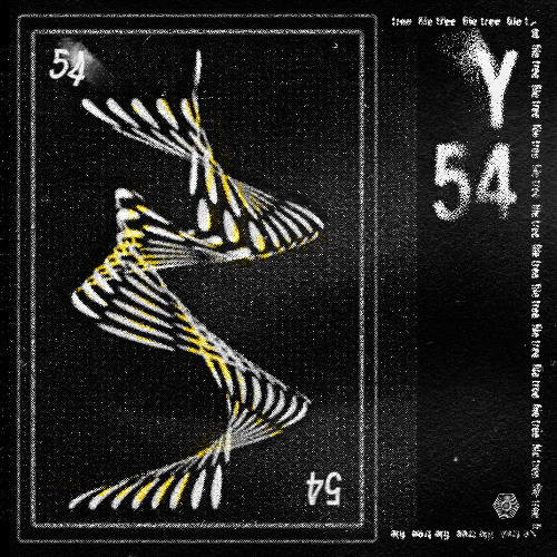Y54