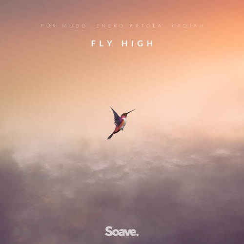 Púr Múdd, Eneko Artola & Kadiah - Fly High