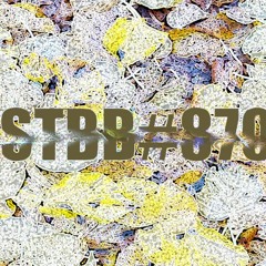 Stbb#870