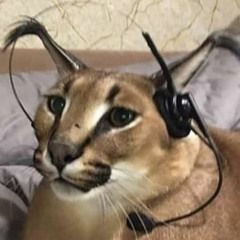 KASSAWIN JUMPFAGGOT 9