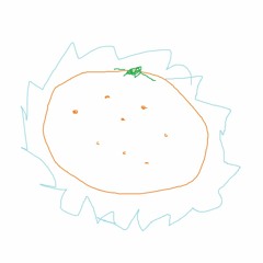 냉동귤