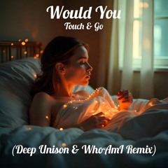 Would You (Deep Unison & Disgusting Music Remix)