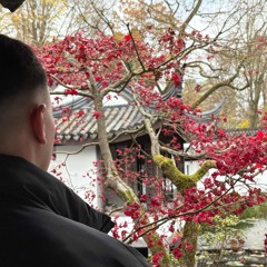 Sprachnachricht Anthem