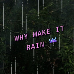 WHY MAKE IT RAIN (W/ SAFARI)