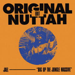 UK Apache & Shy FX - Original Nuttah (JAEL Edit)