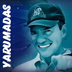 YARUMADA: COCHINILLAS DE LAS RAÍCES DEL CAFÉ
