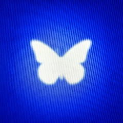 ✫ inverno tropical ✭