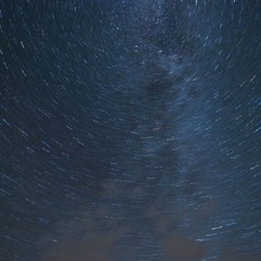 Shrem - The Nites (Analog Evolution Contest)