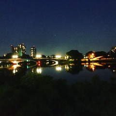 ElectroVibes, Charles River, Boston