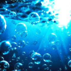 Shyntwirl - Salty Bubbles