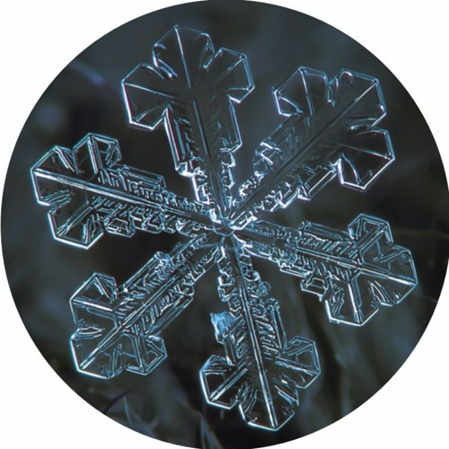 FROSTL001 - Resilient V.A. (Pre Order Now!)