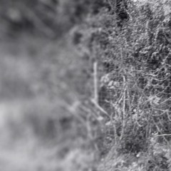 unjust melancholy