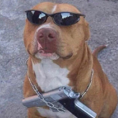 guys will see this and think ”hell yeah”